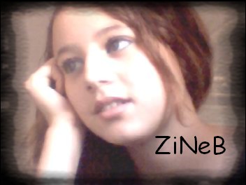 *ZINEB NIVIN*